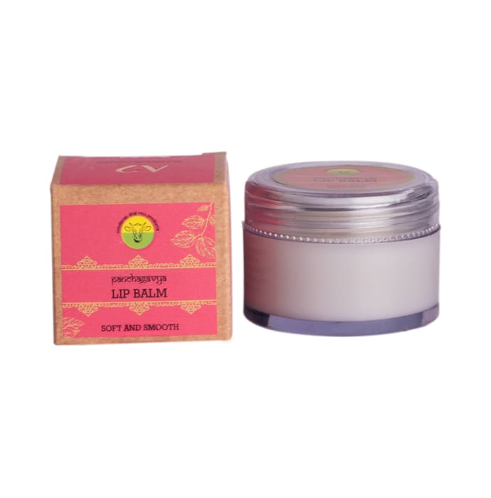 A2 Panchagavya Lip Balm Soft and Smooth (10gm)