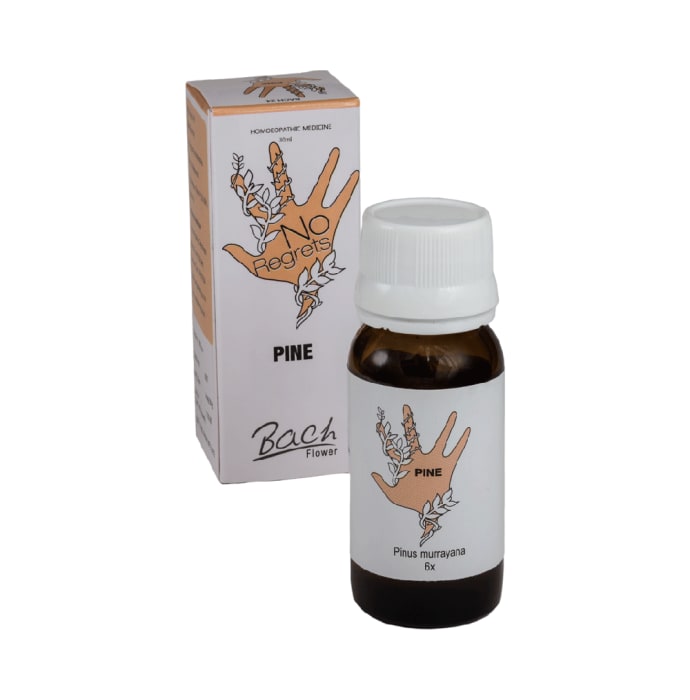 Alfa omega bach flower pine 6x (30ml)