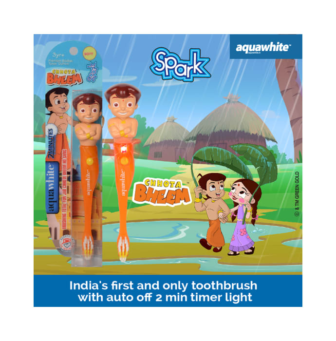 Aquawhite Spark Timer Flash Light Toothbrush Chhota Bheem