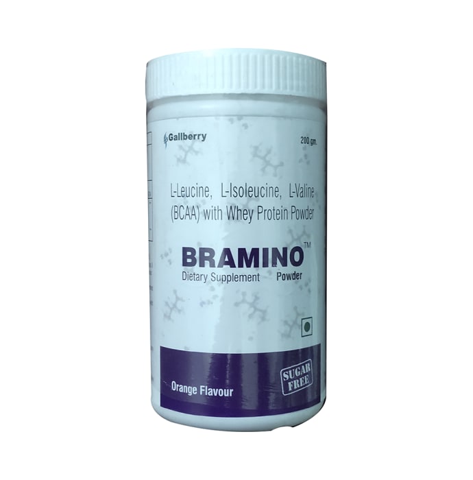 Bramino Whey Protein Powder Orange Sugar Free (200gm)