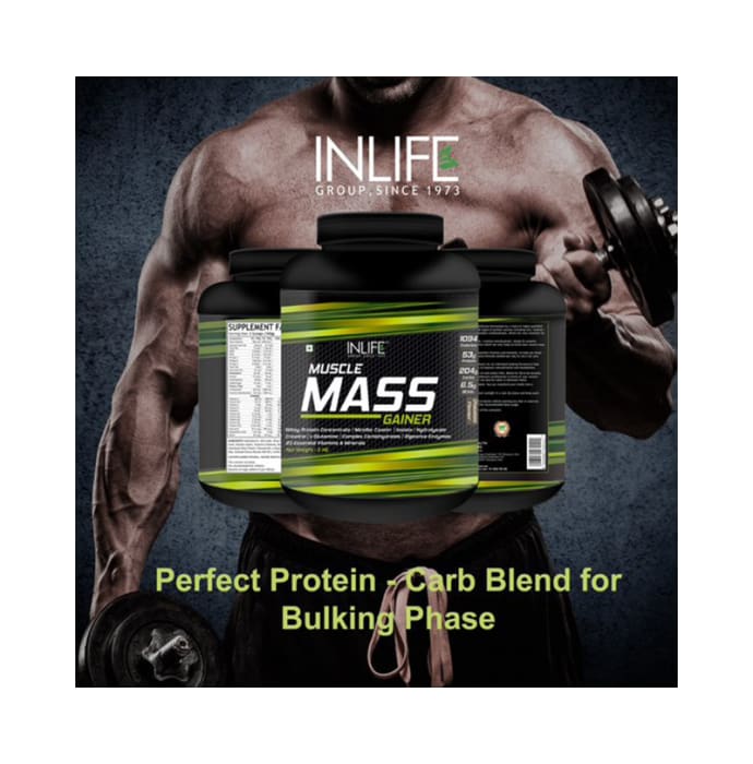 Inlife muscle mass gainer powder chocolate