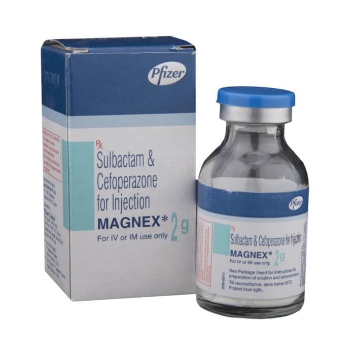 Magnex 2gm (Injection)