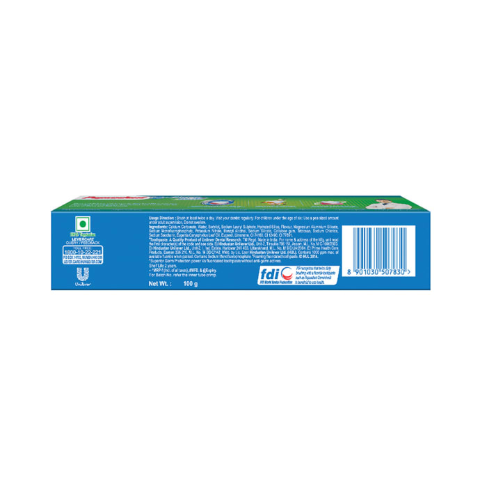 Pepsodent Toothpaste Clove+Salt (100gm)