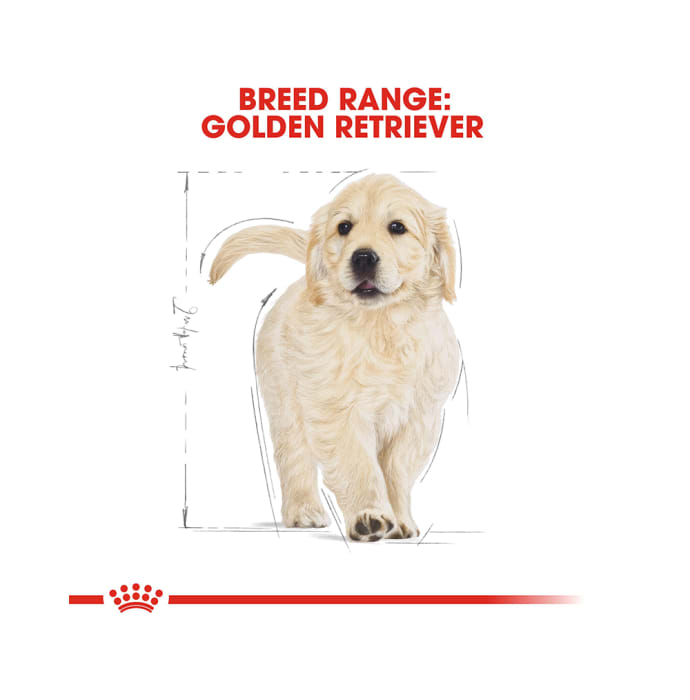 Royal Canin Golden Retriever Pet Food Puppy (12kg)