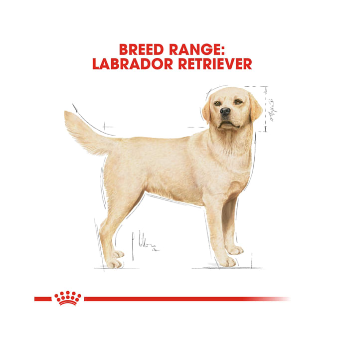 Royal Canin Labrador Retriever Pet Food Adult (12kg)