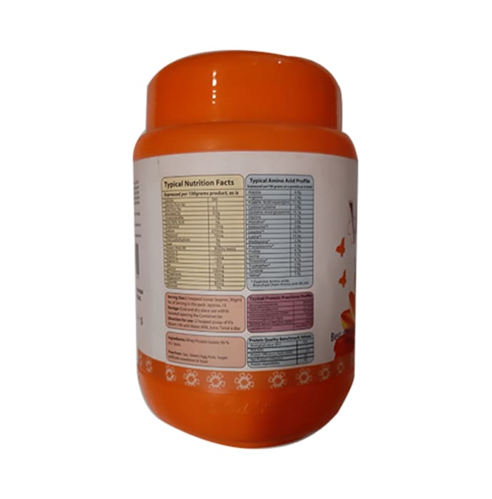 Viv Bloom I-90 Powder (400gm)